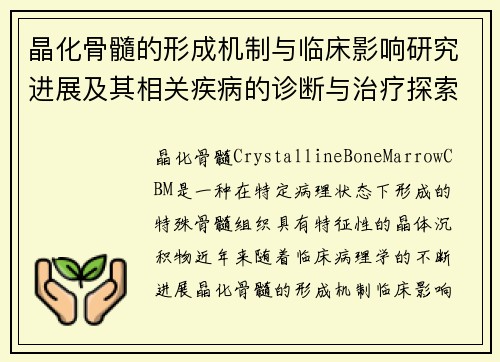晶化骨髓的形成机制与临床影响研究进展及其相关疾病的诊断与治疗探索